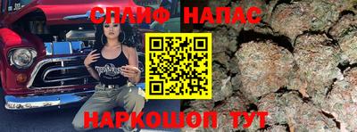 крисы Ипатово
