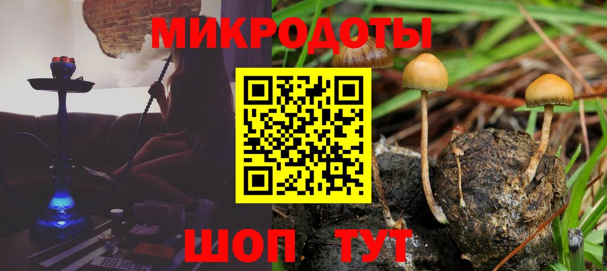 Галлюциногенные грибы прущие грибы Лангепас